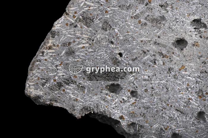 Basalte demi-deuil - détail d'une surface polie - gryphea.com